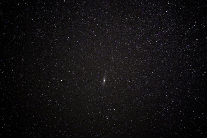 Galaxy Cluster